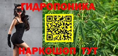 Альфа ПВП Кингисепп