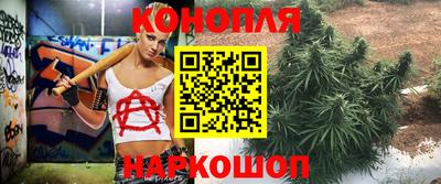 Альфа ПВП Кингисепп