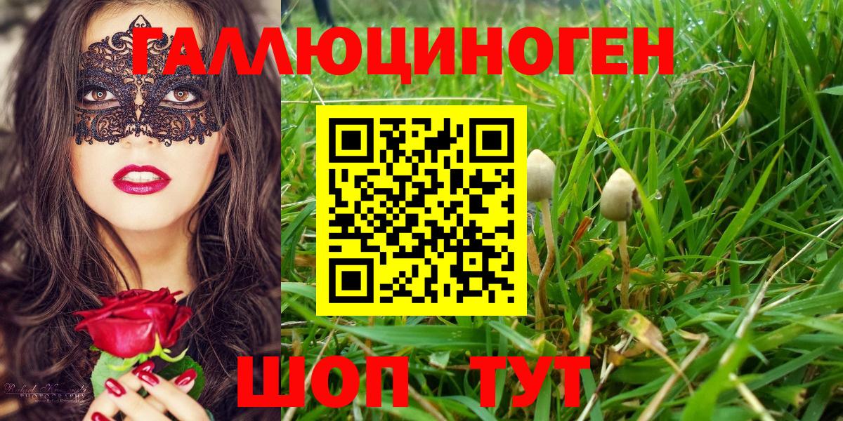 Кириши  купить наркотик  Вход с VPN  Галлюциногенные грибы Cubensis 